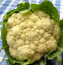 Photo: Cauliflower head