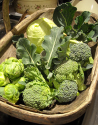 Photo: Home grown veg in a trug