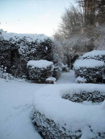 Photo: Snow in December 2009