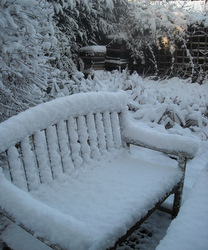 Photo: Snow in the garden