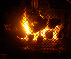 Photo: Log fire