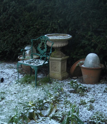 Photo: A corner of the Old Kitchen Garden