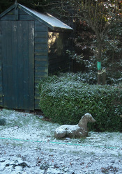 Photo: Shed and stone dog