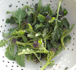 Photo: Home grown purple sprouting broccoli