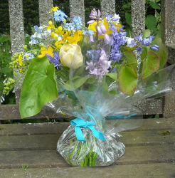 Photo: Flowers in a tempoarary vase