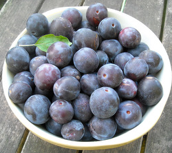 Photo: Plums from our garden