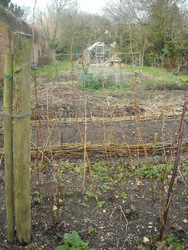 the fairy fences (my monika) along the raised bed. Chicken proofing par excellence