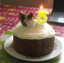 PPP's 5th birthday cake