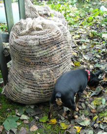 Photo: Inca beside the leaf sacks