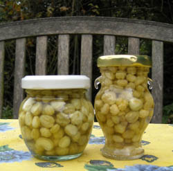 Photo: Pickled Nasturtium seeds