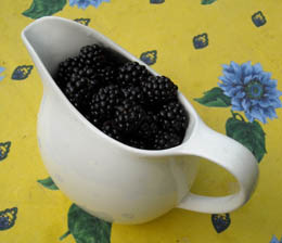 Photo: Blackberries in a jug