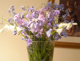 Photo: Bluebells and Forget Me Nots