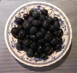 bowl-of-damsons Photo: Bowl of damsons