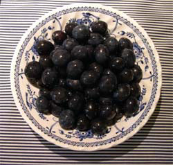 Photo: Bowl of damsons