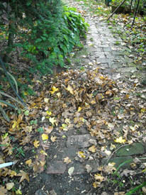 Photo: Brick path