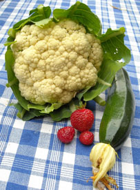 Photo: Cauliflower portrait