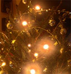 Photo: Christmas tree detail