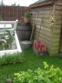 Cold frame and shed