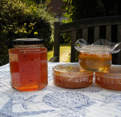 Photo: Crabapple jelly and crabapple cheese