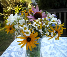 Photo: Flowers from the garden. August 2009