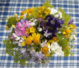 Photo: July 2009 flowers from above