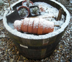 Photo: Frosted pots