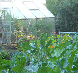 Photo: Greenhouse in October