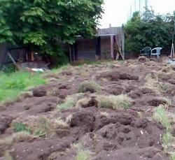 Scraped allotment plot