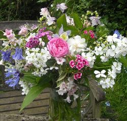 Flowers from the garden in early June