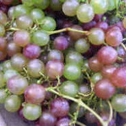 Gilbert’s Grapes in Grape Liqueur Recipe