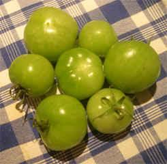 a handful of our green tomatoes on our tabletop