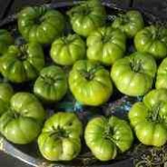 Green tomato chutney recipe