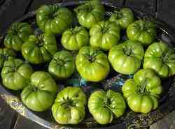 Photo: Red Brandywine tomatoes