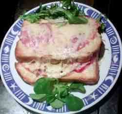 ham cheese and tomato toasty snack