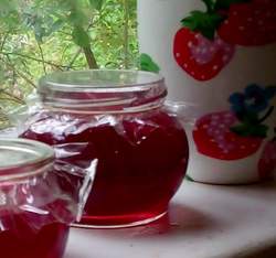 homemade redcurrant jelly