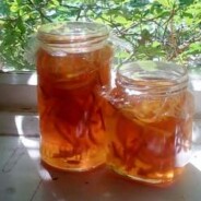 Zingy lemon and lime marmalade recipe for grownups