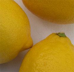 lemons for lemon gin