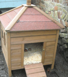 Pretty little chicken/bantam house