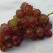 Grape Jelly recipe