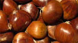 a pile of chestnuts