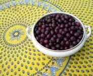 Two recipes: Wild Damson Gin and Sloe Gin recipes