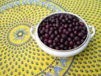 Photo of a bowl of wid damsons