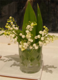Photo: Lily of the Valley