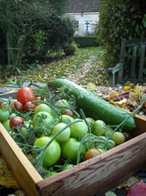 Photo: October Harvest