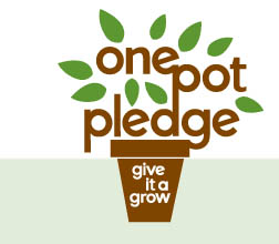 Photo: One Pot Pledge