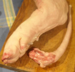 Photo: Pig trotter and tail