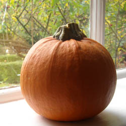 Photo: Pumpkin on windowsill