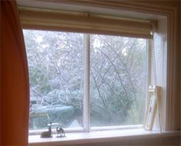 Photo: Seasonal double glazed window