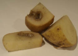 Photo: Slug infested potatoes