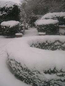Photo: Snow in the cottage garden
